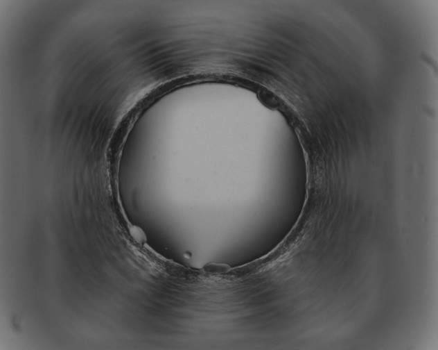 X0000091521022200709071012