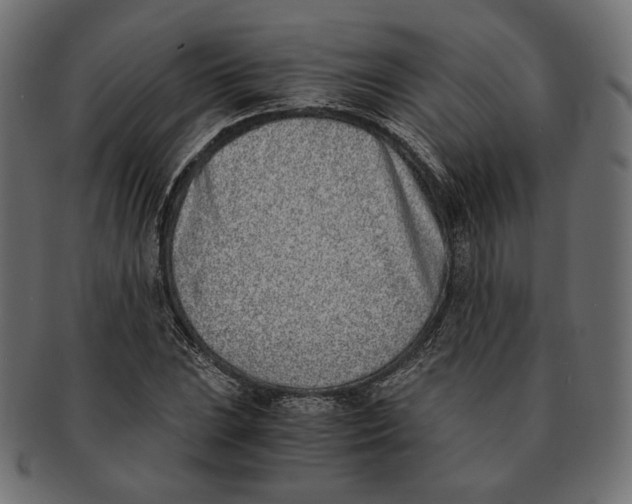 X0000091521023200709071012