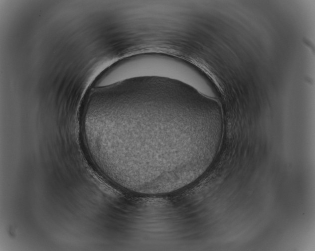 X0000091521024200709071012