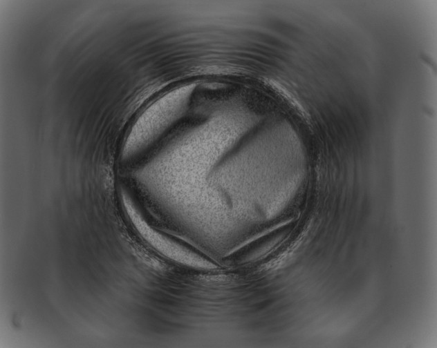 X0000091521025200709071012