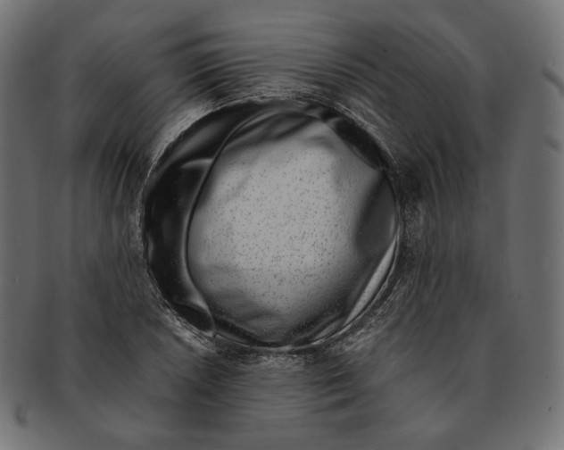 X0000091521026200709071012