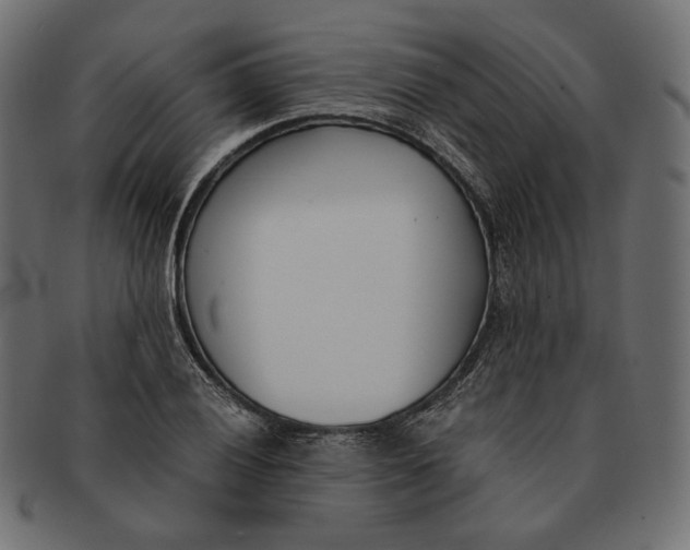 X0000091521028200709071012