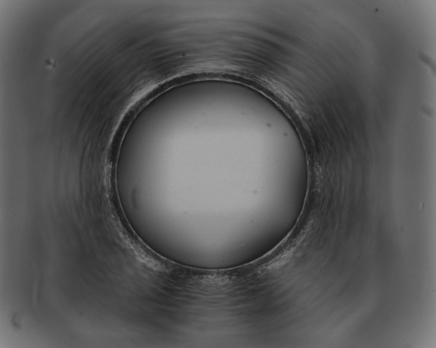 X0000091521029200709071012