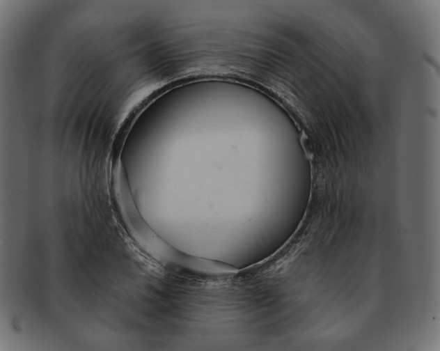 X0000091521030200709071012