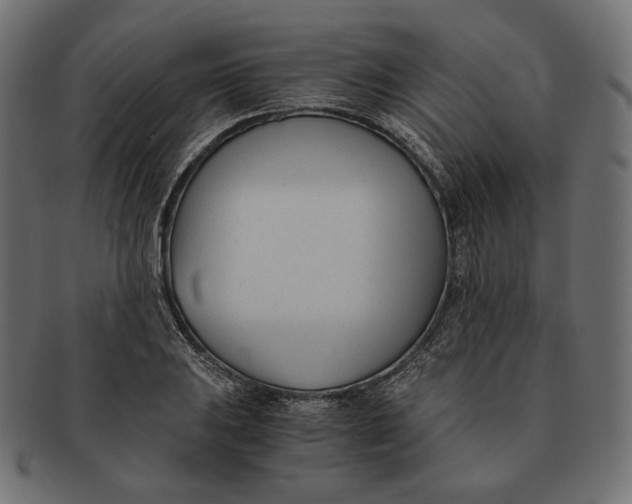 X0000091521031200709071012