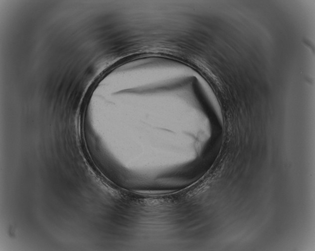 X0000091521032200709071012