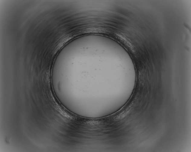 X0000091521033200709071012