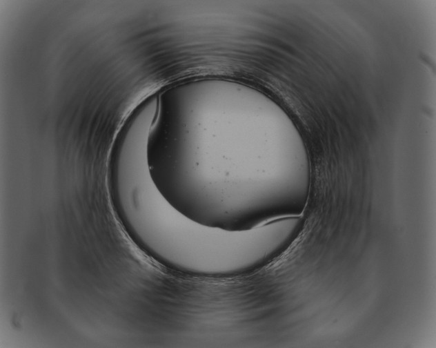 X0000091521034200709071012