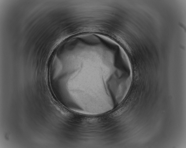 X0000091521035200709071012