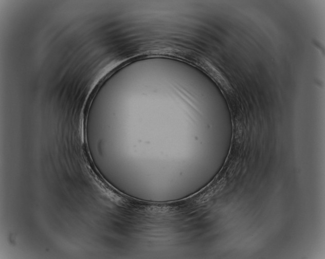 X0000091521036200709071012