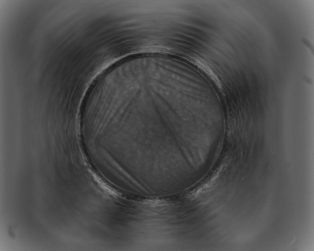 X0000091521037200709071012