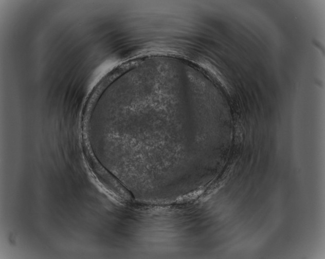 X0000091521038200709071012