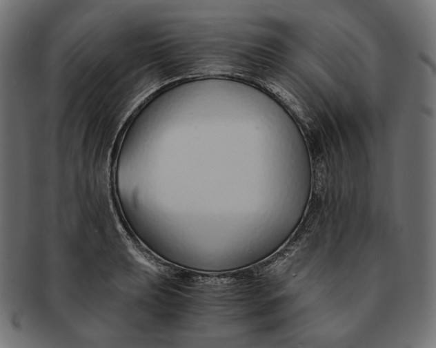 X0000091521039200709071012