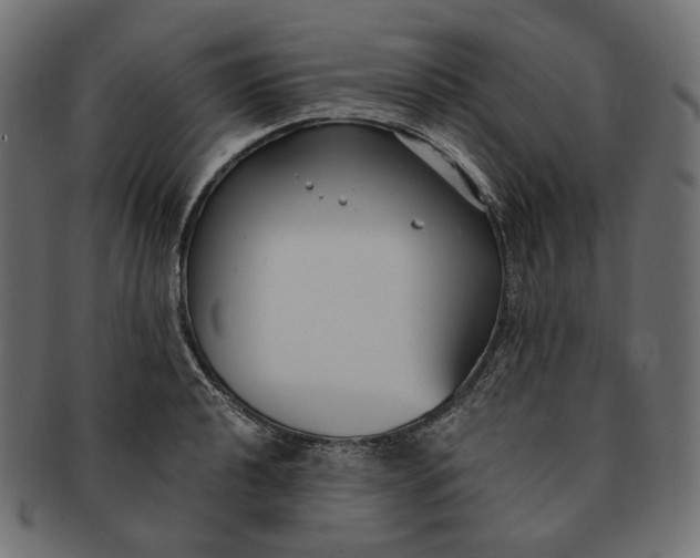 X0000091521040200709071012