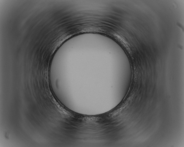 X0000091521041200709071012