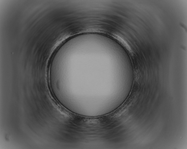 X0000091521043200709071012