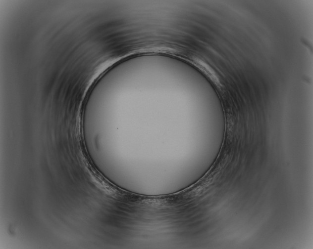 X0000091521044200709071012