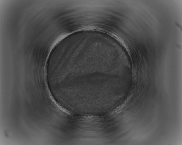 X0000091521045200709071012