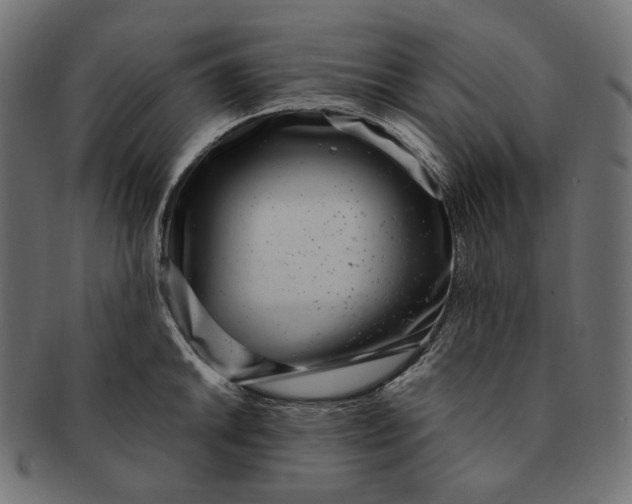 X0000091521046200709071012