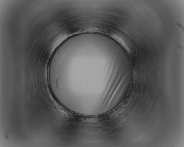 X0000091521047200709071012