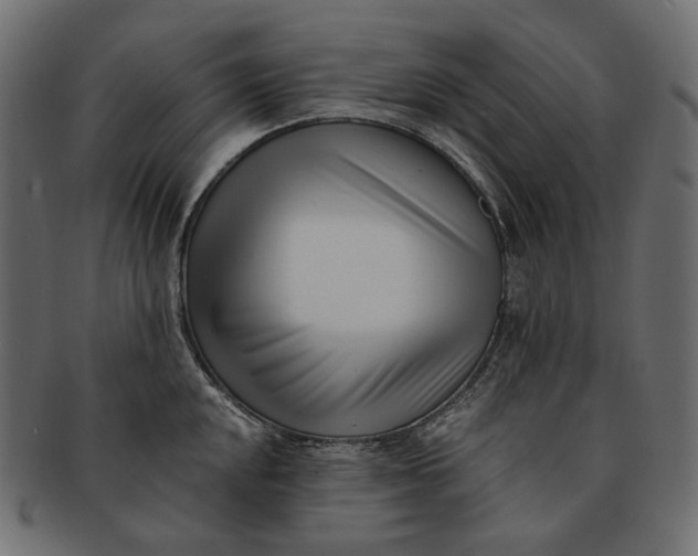 X0000091521048200709071012