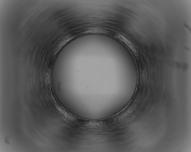 X0000091521049200709071012