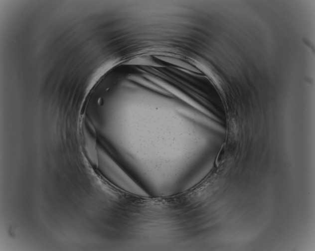 X0000091521050200709071012