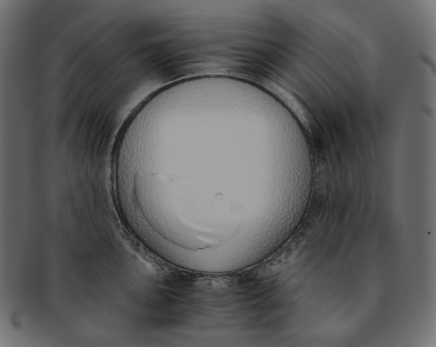 X0000091521051200709071012