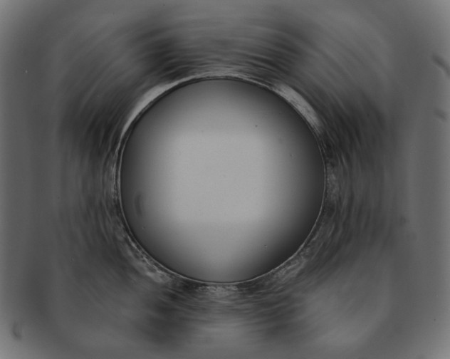 X0000091521052200709071012