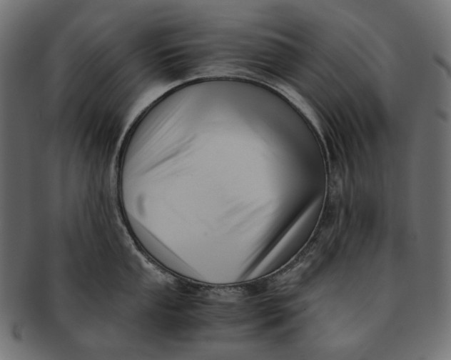 X0000091521053200709071012