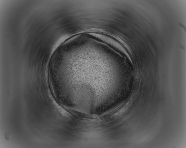 X0000091521054200709071012