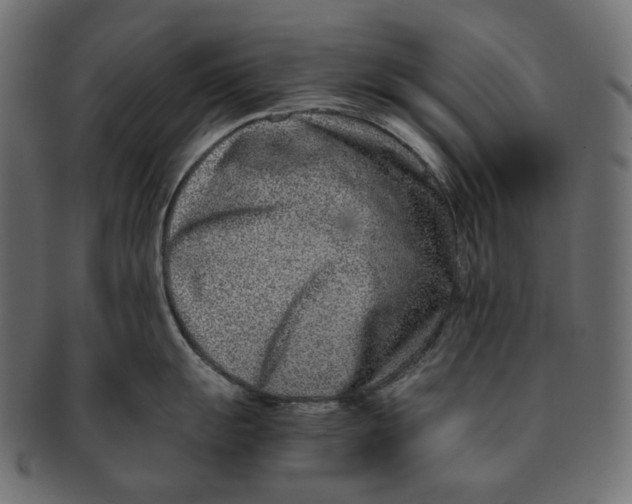 X0000091521055200709071012