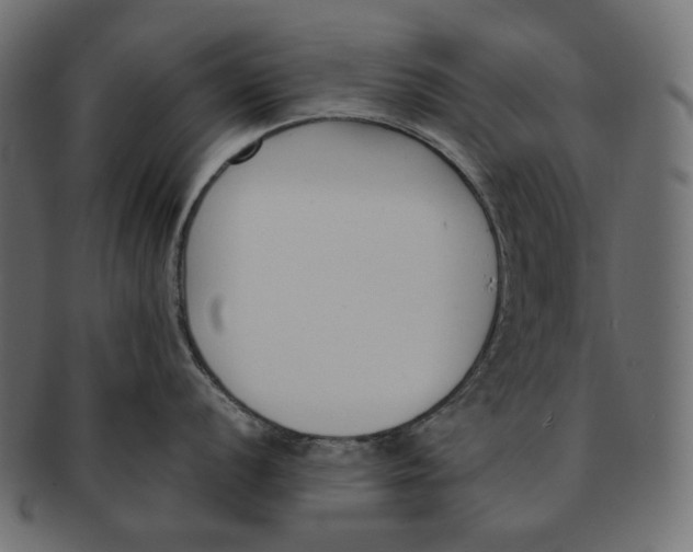 X0000091521056200709071012