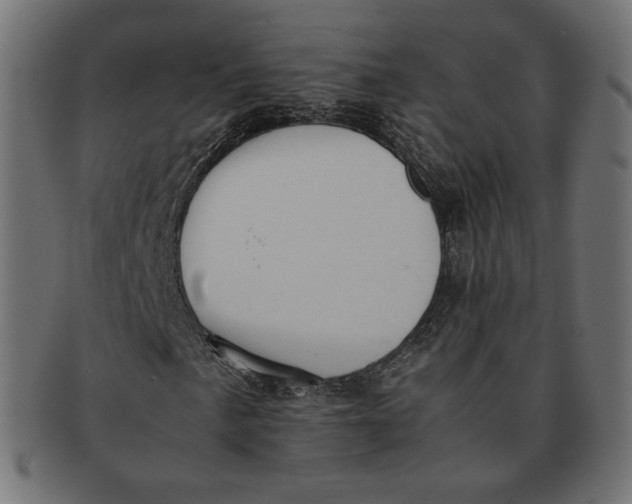 X0000091521057200709071012