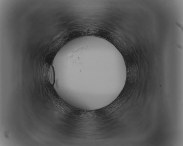 X0000091521058200709071012