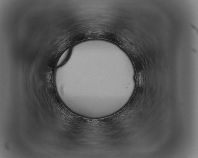 X0000091521059200709071012