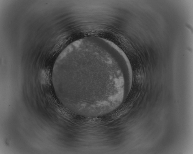 X0000091521060200709071011