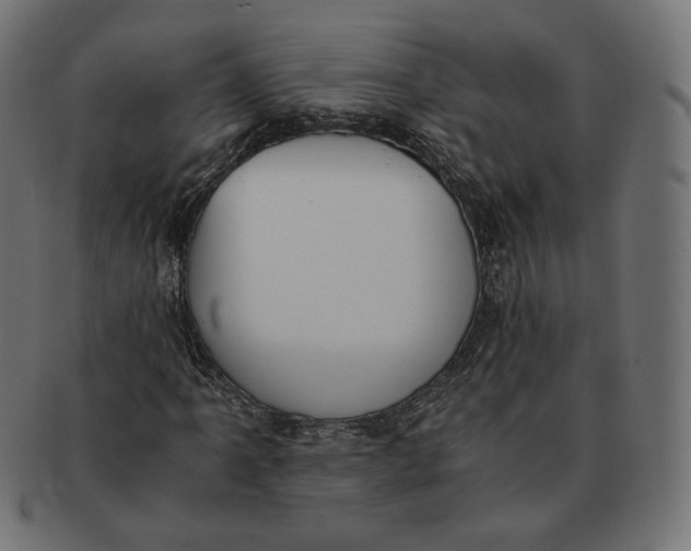 X0000091521061200709071011