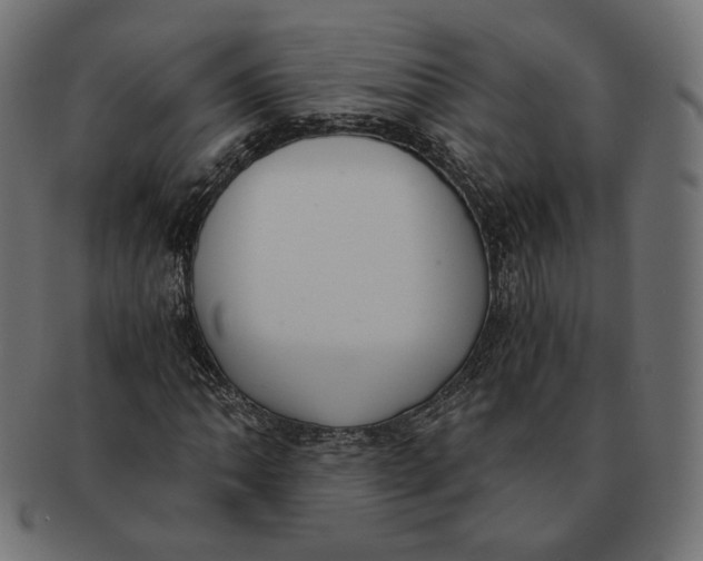 X0000091521062200709071011