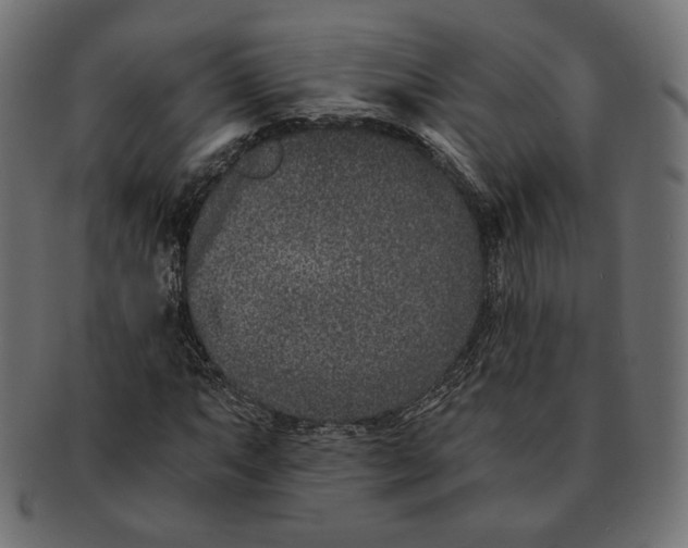 X0000091521063200709071011