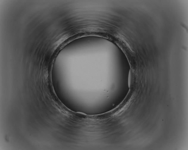 X0000091521065200709071011