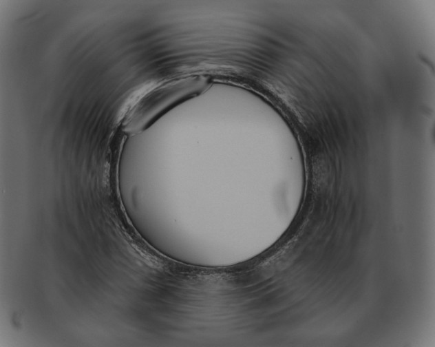 X0000091521066200709071011