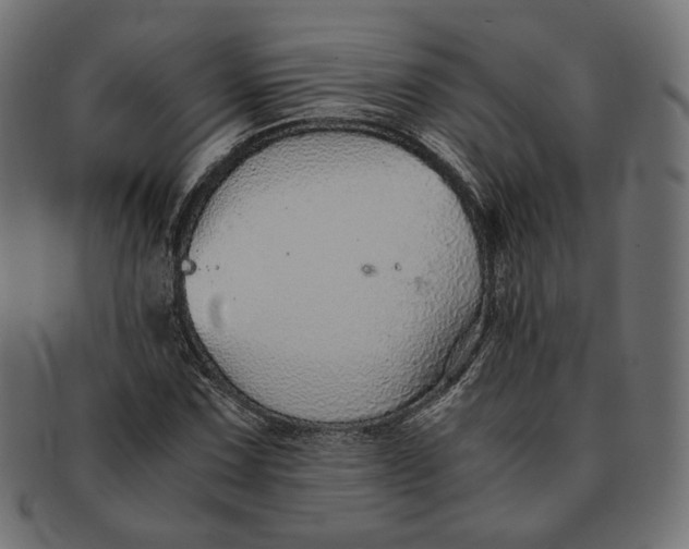 X0000091521067200709071011