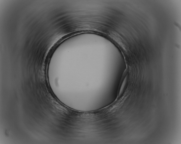 X0000091521068200709071011