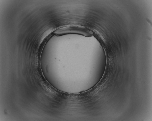 X0000091521069200709071011