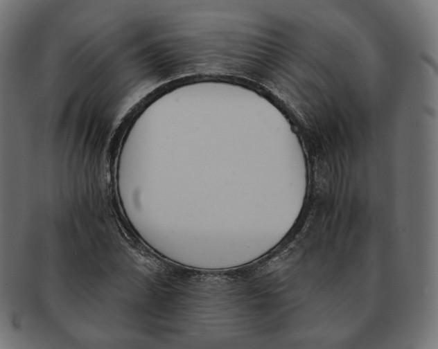 X0000091521070200709071011