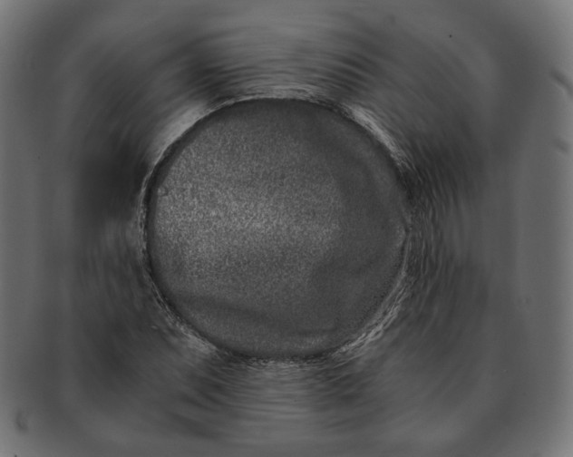 X0000091521071200709071011