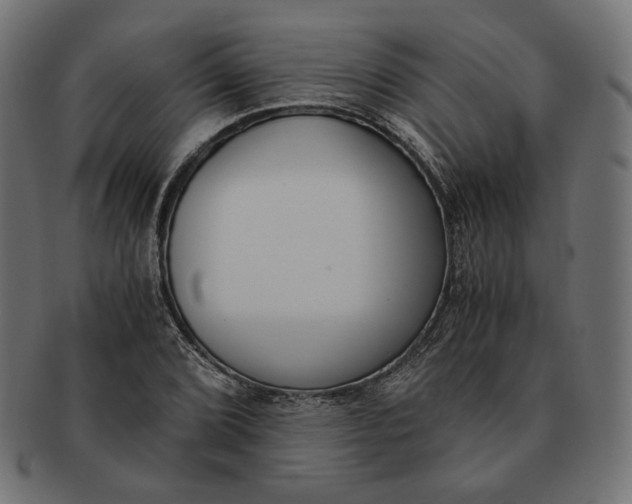 X0000091521072200709071011