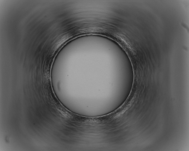 X0000091521073200709071011