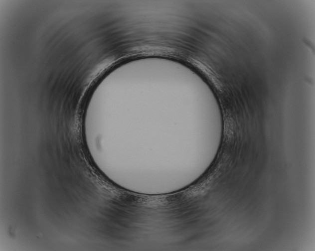 X0000091521074200709071011